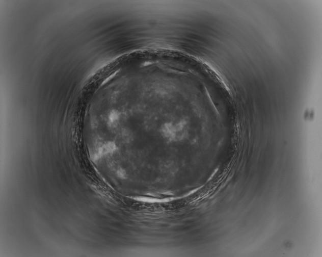 X0000099570919200806061559