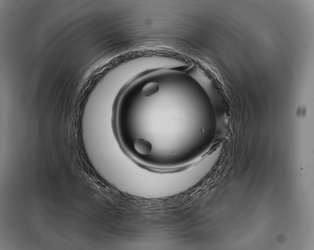 X0000099570920200806061559