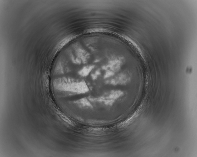 X0000099570921200806061559