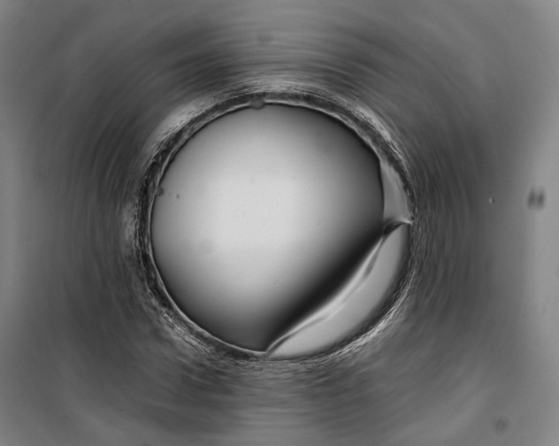 X0000099570922200806061559