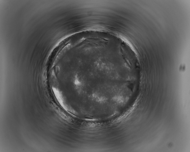 X0000099570923200806061559