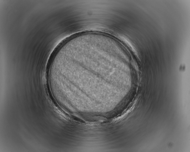 X0000099570924200806061559