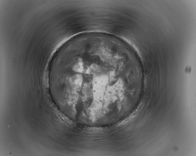X0000099570925200806061559
