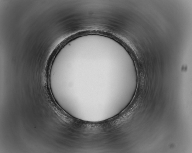 X0000099570927200806061559