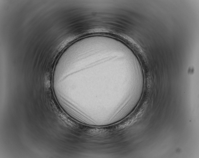 X0000099570929200806061559