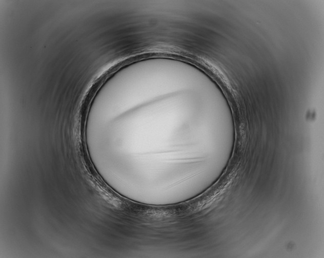 X0000099570931200806061559