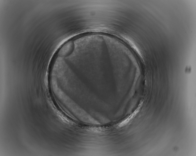 X0000099570932200806061559
