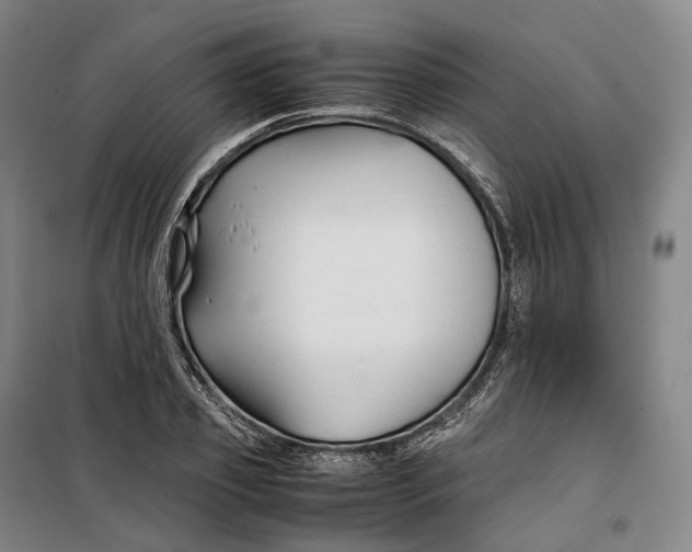 X0000099570933200806061559