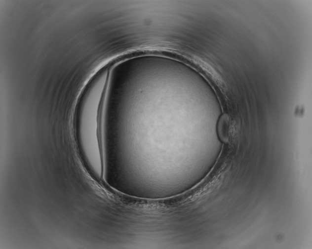 X0000099570934200806061559