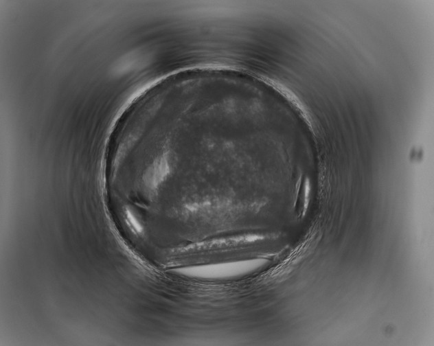X0000099570935200806061559
