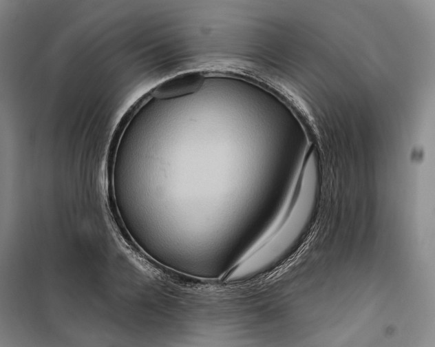 X0000099570936200806061559