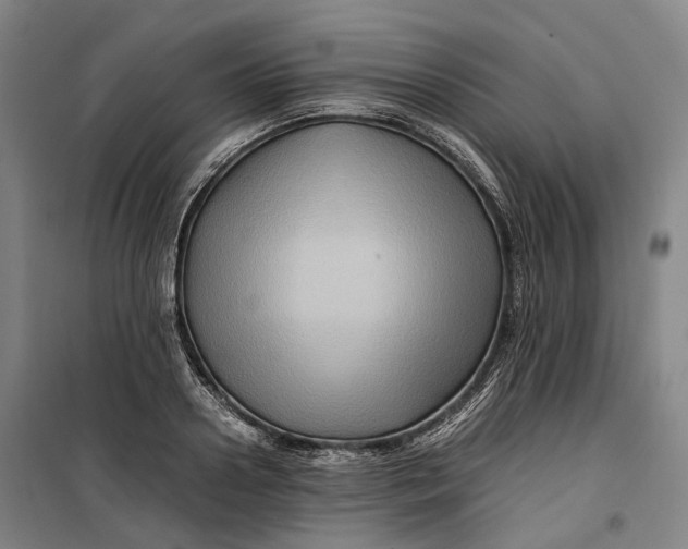 X0000099570938200806061559