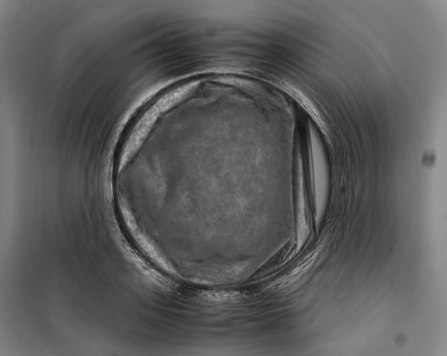 X0000099570939200806061559