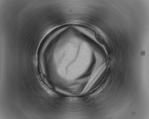 X0000099570940200806061559