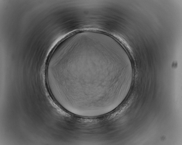 X0000099570941200806061600