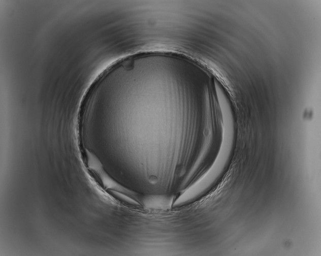 X0000099570942200806061600
