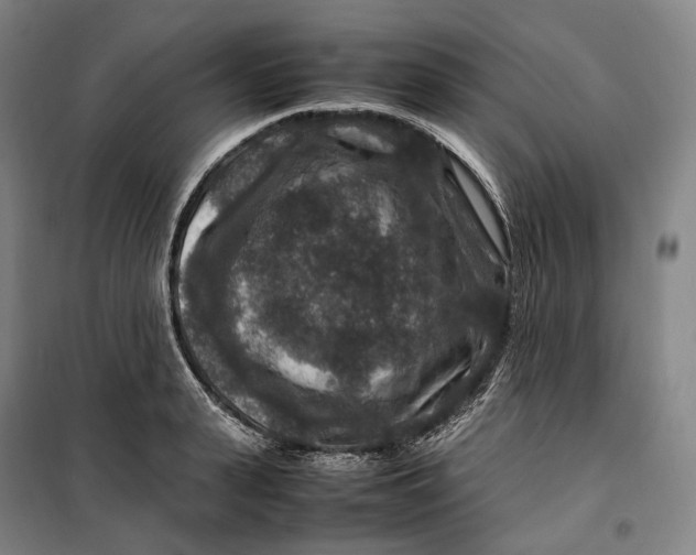 X0000099570943200806061600