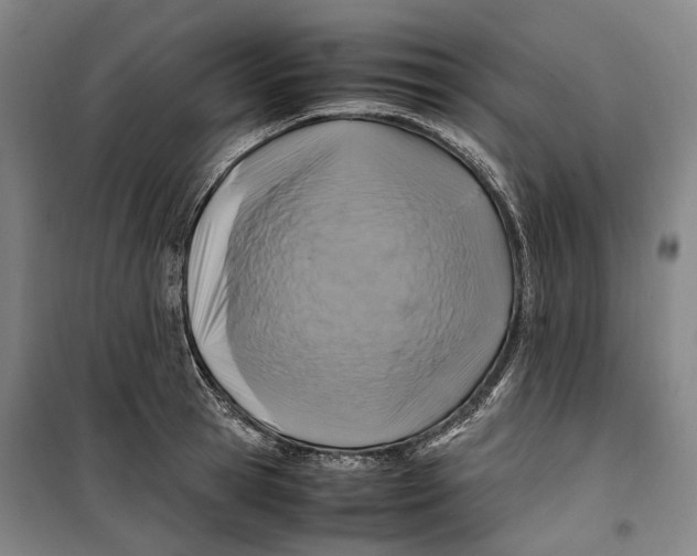 X0000099570945200806061600