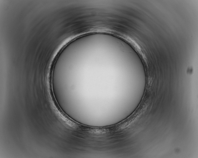 X0000099570947200806061600