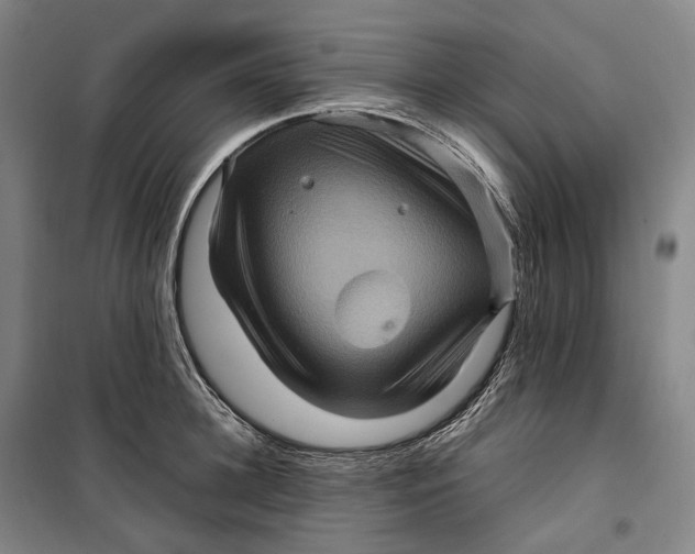 X0000099570948200806061600