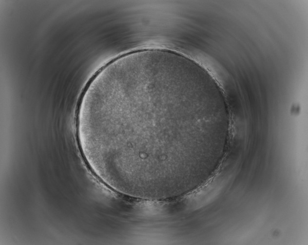 X0000099570950200806061600