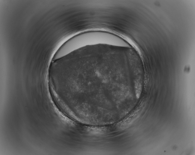 X0000099570951200806061600