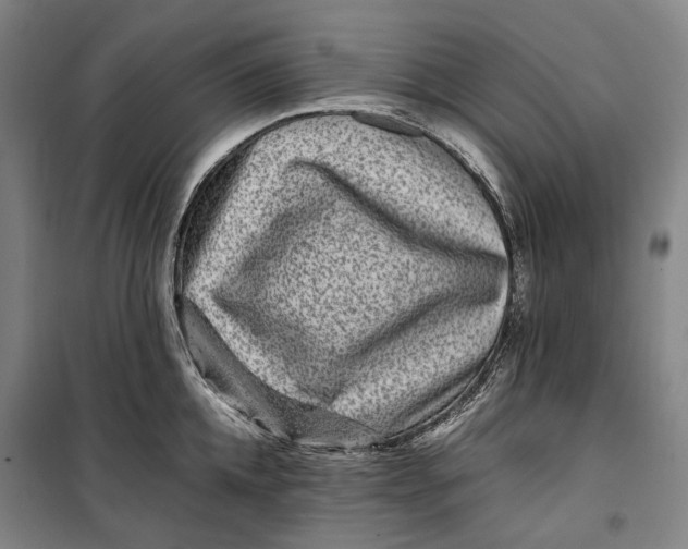 X0000099570952200806061600