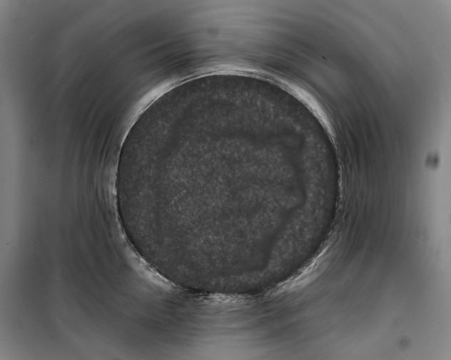 X0000099570954200806061600