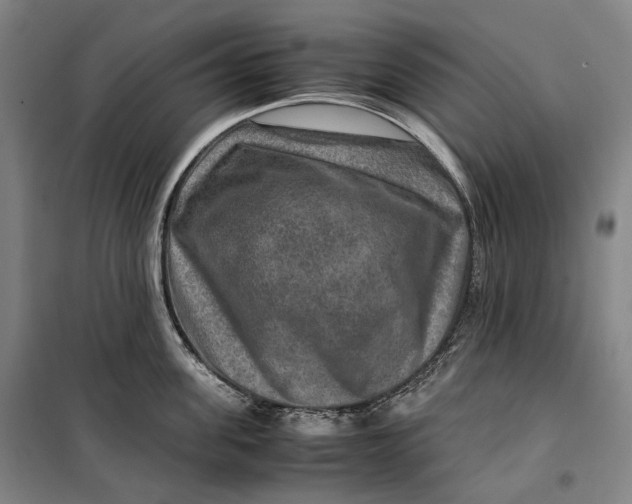 X0000099570955200806061600