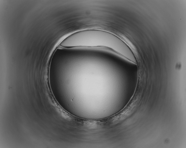 X0000099570956200806061600