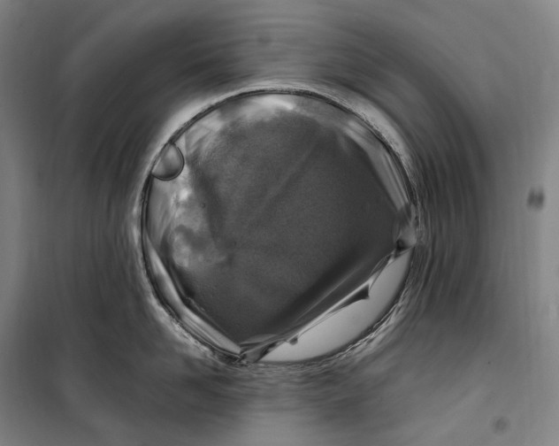 X0000099570958200806061600