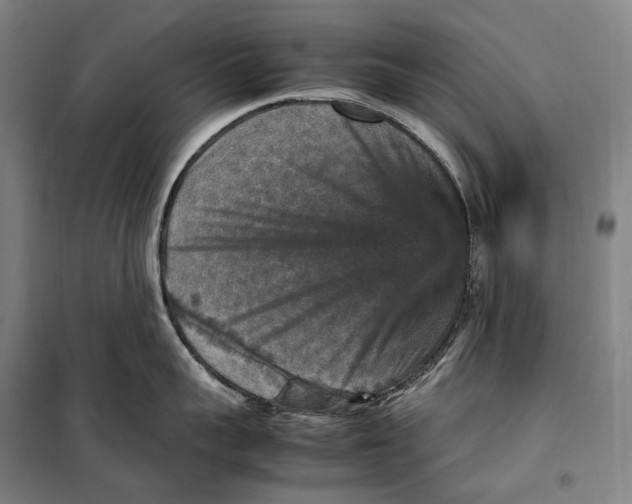 X0000099570959200806061600