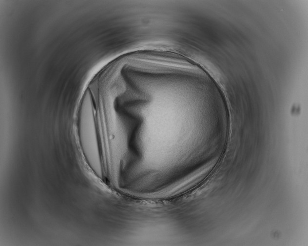 X0000099570960200806061600