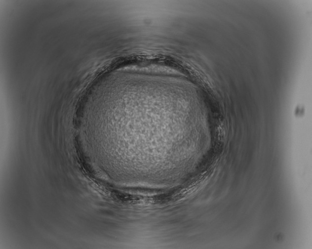 X0000099570961200806061559