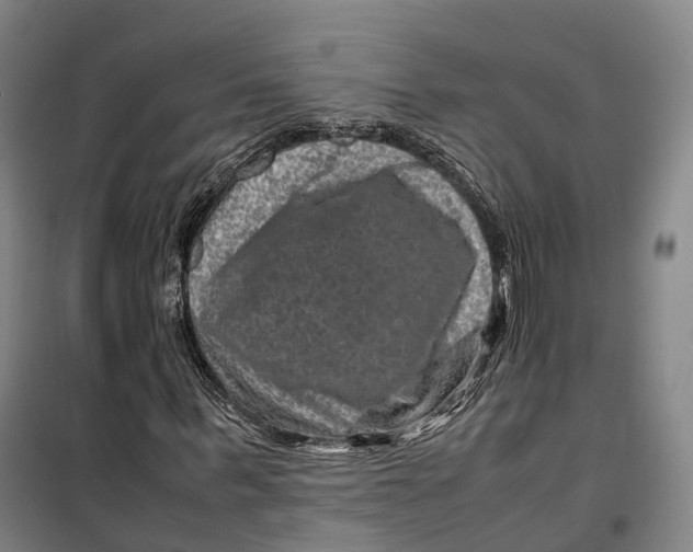 X0000099570963200806061559