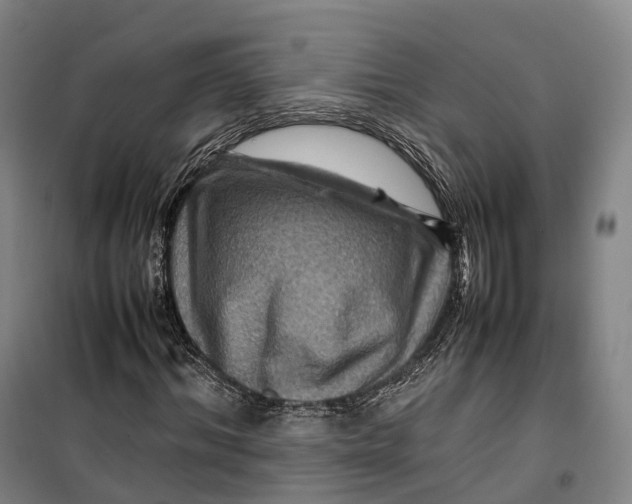 X0000099570964200806061559
