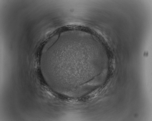 X0000099570965200806061559