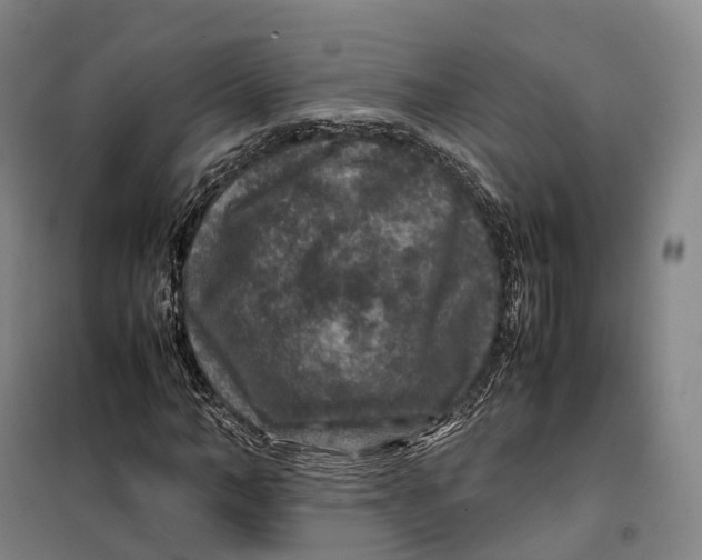 X0000099570966200806061559