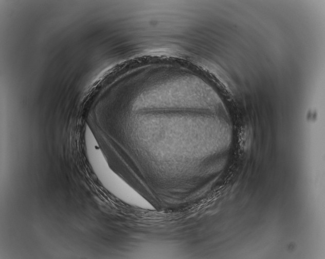 X0000099570968200806061559