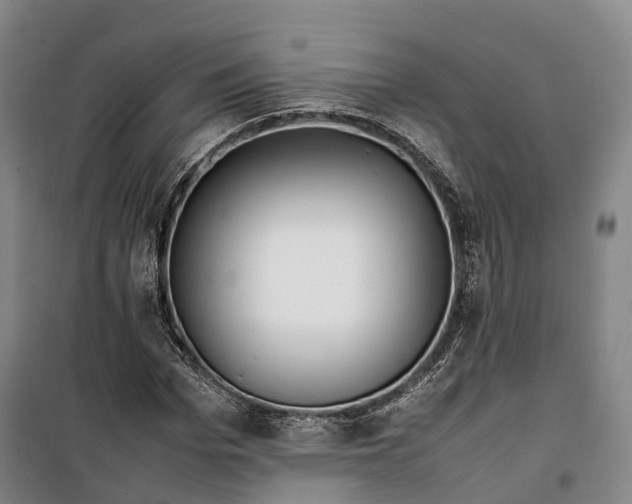 X0000099570969200806061559