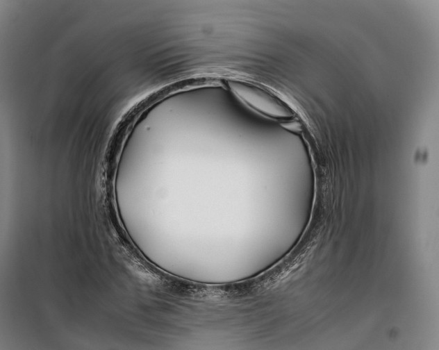 X0000099570971200806061559