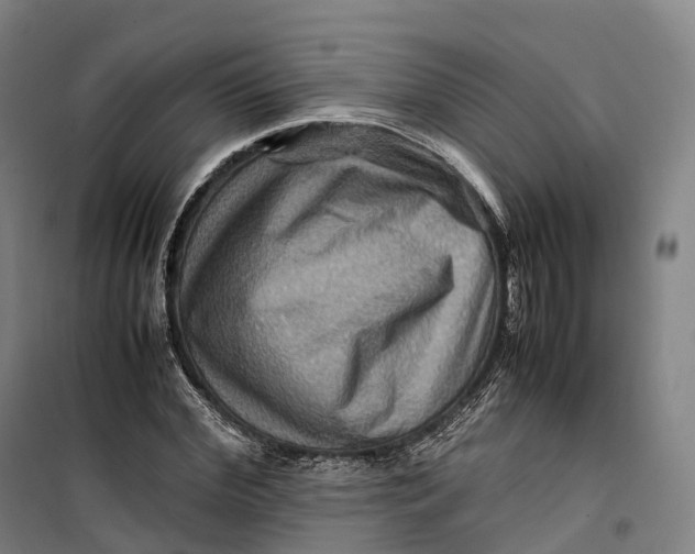 X0000099570972200806061559