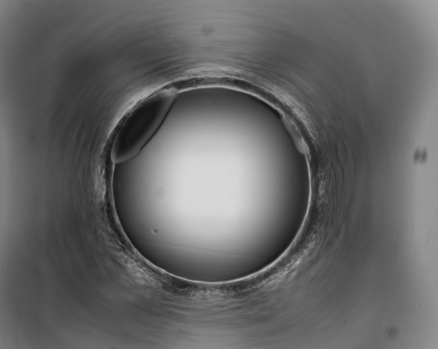 X0000099570973200806061559