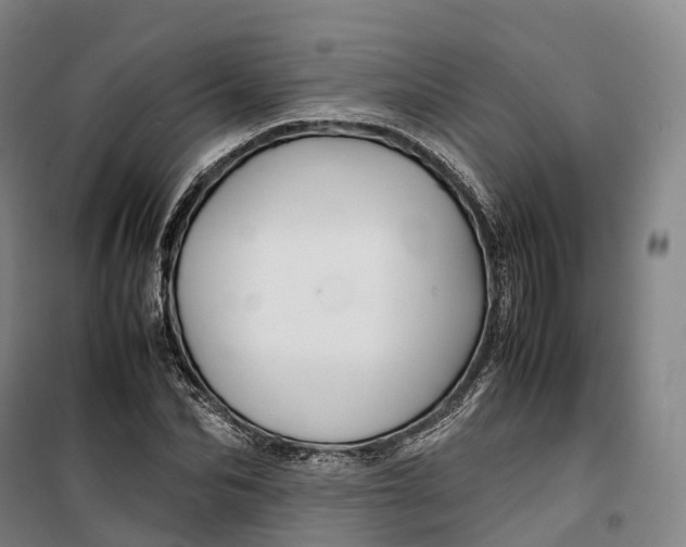 X0000099570974200806061559