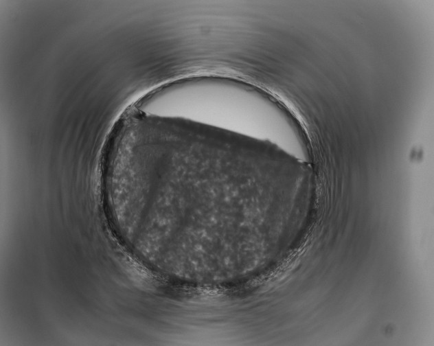 X0000099570975200806061559