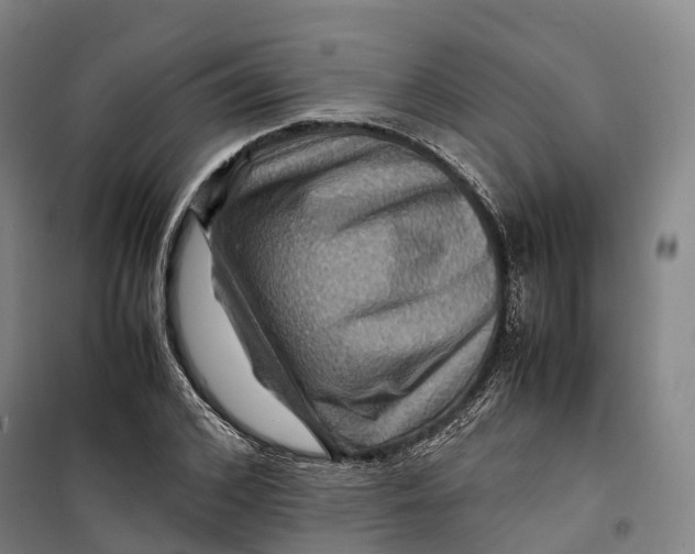 X0000099570976200806061559