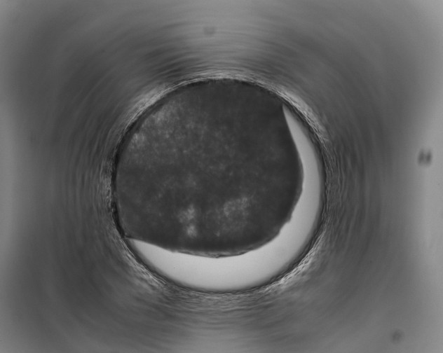 X0000099570977200806061559
