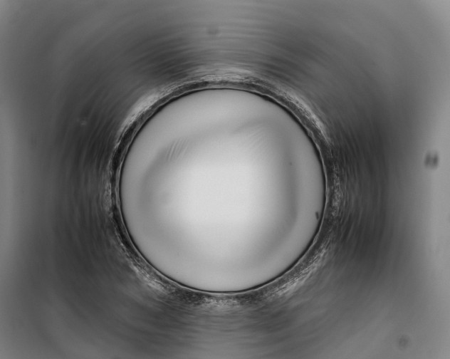 X0000099570978200806061559