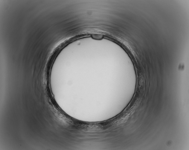 X0000099570979200806061559