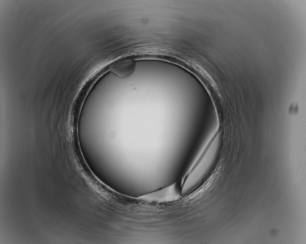 X0000099570981200806061559